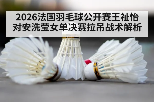 2026法国羽毛球公开赛王祉怡对安洗莹女单决赛拉吊战术解析